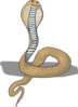 Multicolored Cobra Clip Art